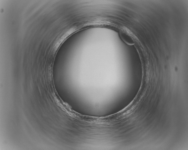 X0000053001329200507291632