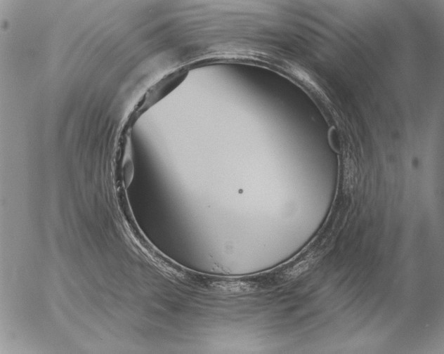 X0000053001331200507291632