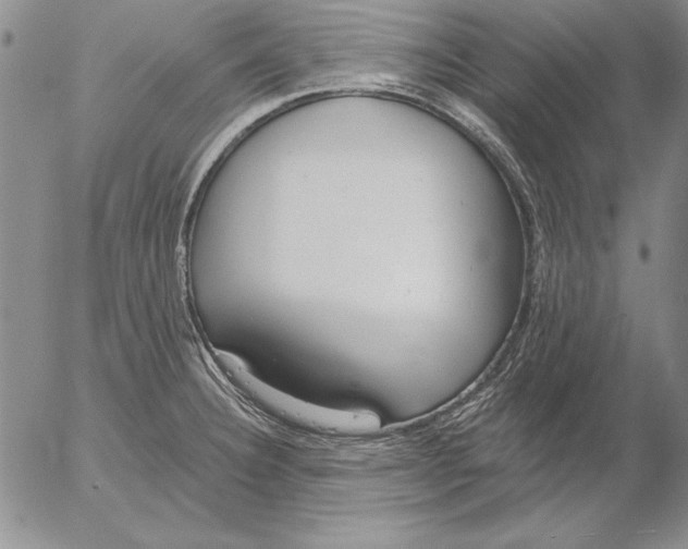 X0000053001332200507291632