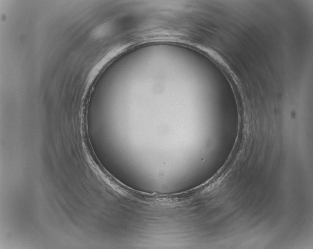 X0000053001333200507291632