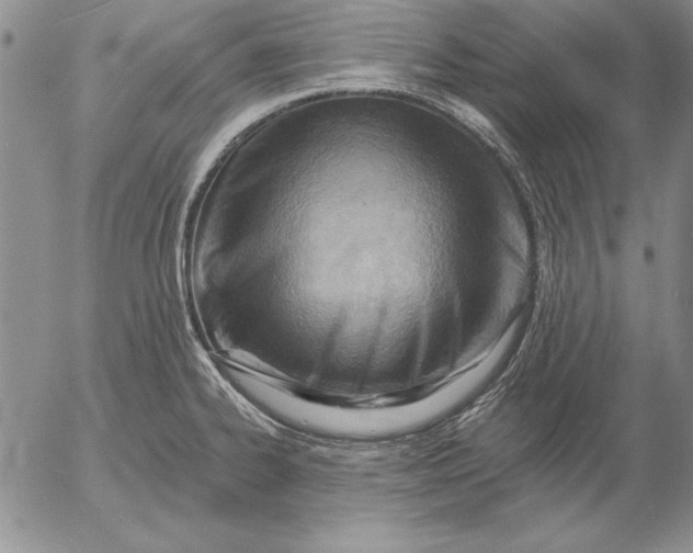 X0000053001334200507291632