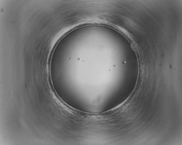 X0000053001335200507291632