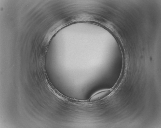 X0000053001337200507291632