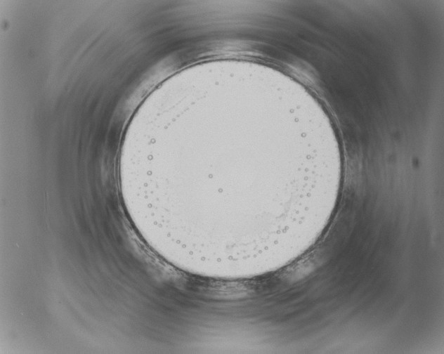 X0000053001338200507291632