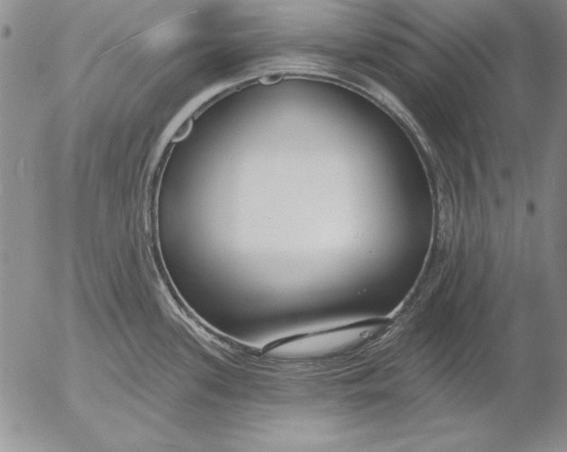 X0000053001339200507291632