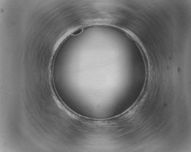 X0000053001341200507291633