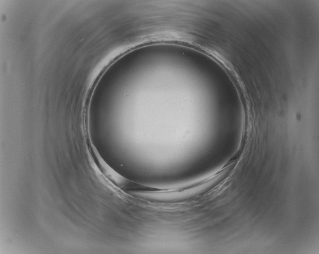 X0000053001342200507291633