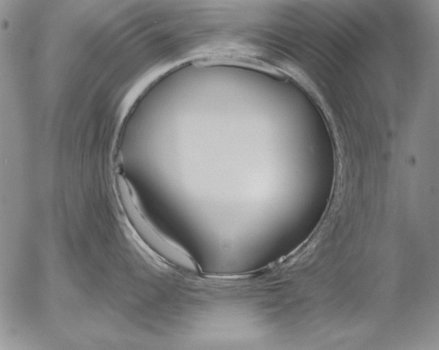 X0000053001344200507291633