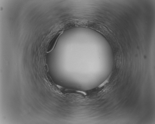 X0000053001345200507291632