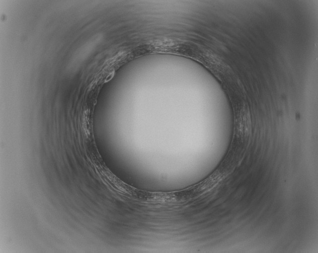 X0000053001346200507291632