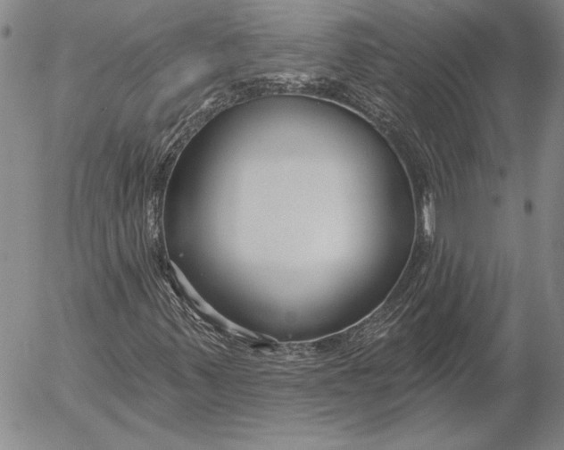 X0000053001347200507291632