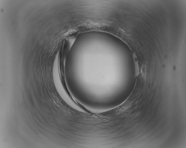 X0000053001348200507291632