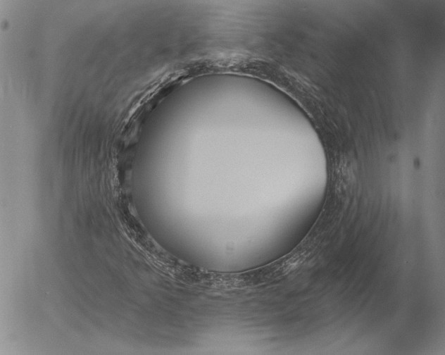 X0000053001349200507291632