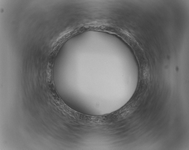 X0000053001350200507291632