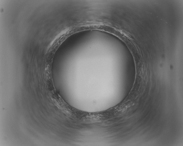 X0000053001351200507291632