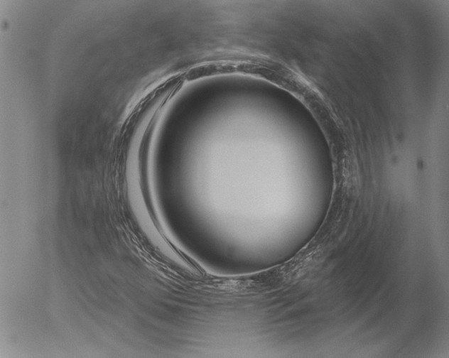 X0000053001352200507291632