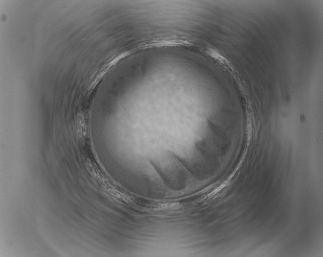 X0000053001353200507291632