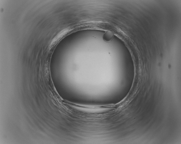 X0000053001354200507291632