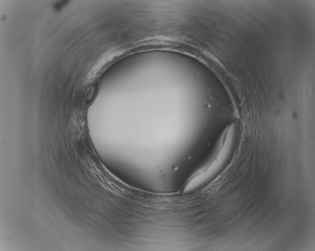 X0000053001355200507291632