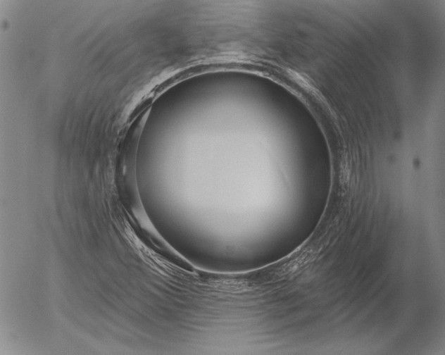 X0000053001356200507291632