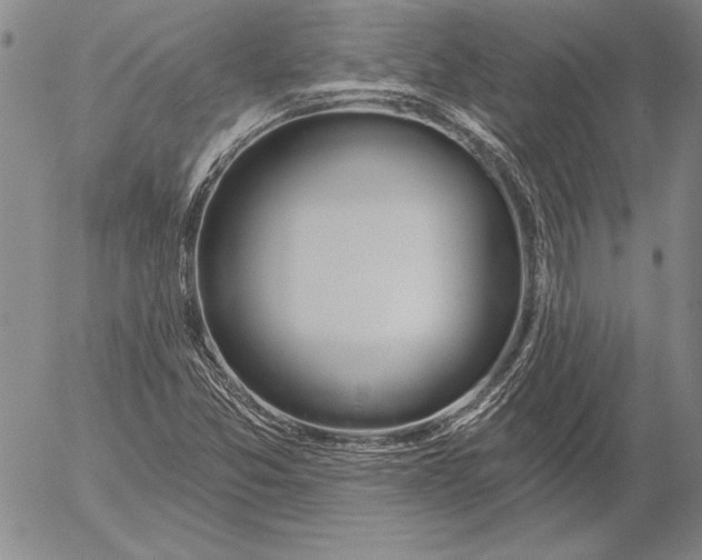 X0000053001357200507291632