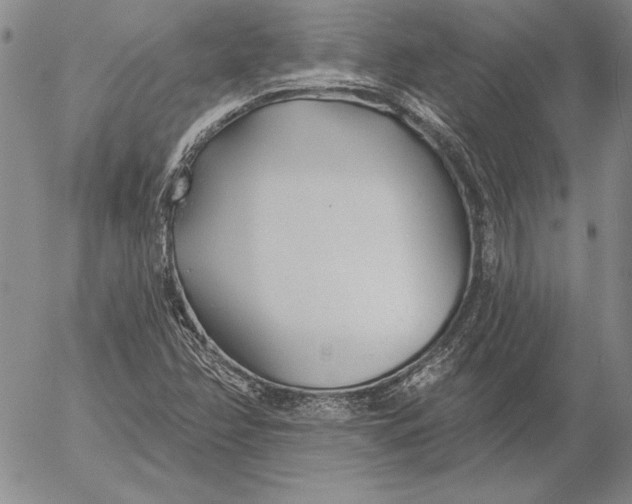 X0000053001358200507291632