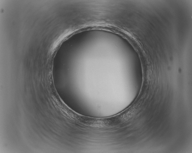 X0000053001359200507291632