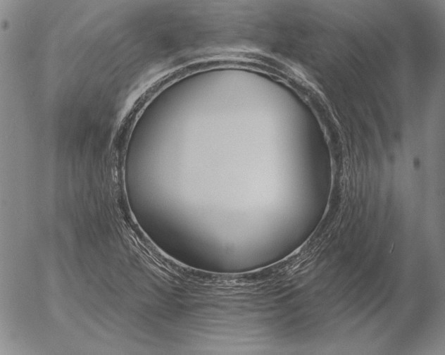 X0000053001360200507291632