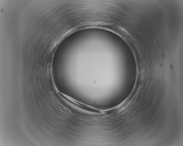 X0000053001361200507291632