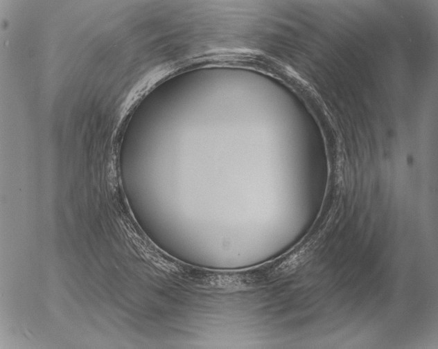 X0000053001362200507291631