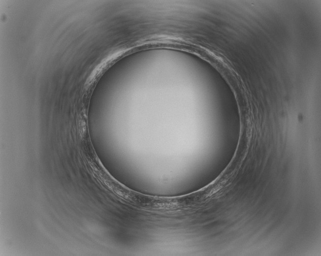 X0000053001363200507291631