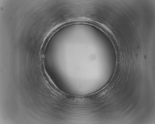 X0000053001364200507291631