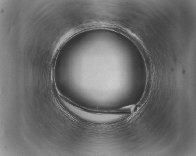 X0000053001365200507291631