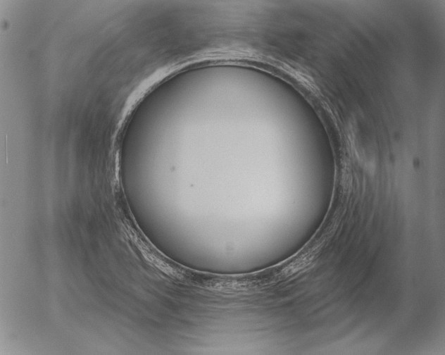 X0000053001366200507291631