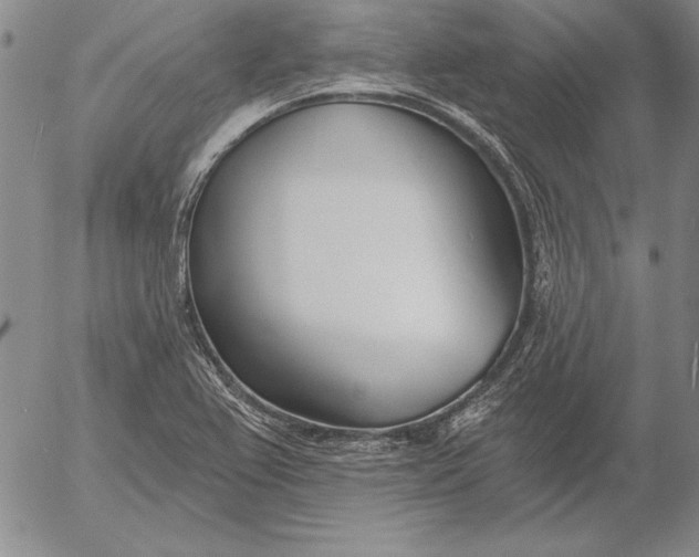 X0000053001367200507291631