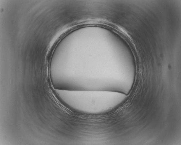 X0000053001368200507291631