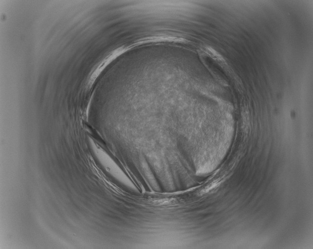 X0000053001369200507291631