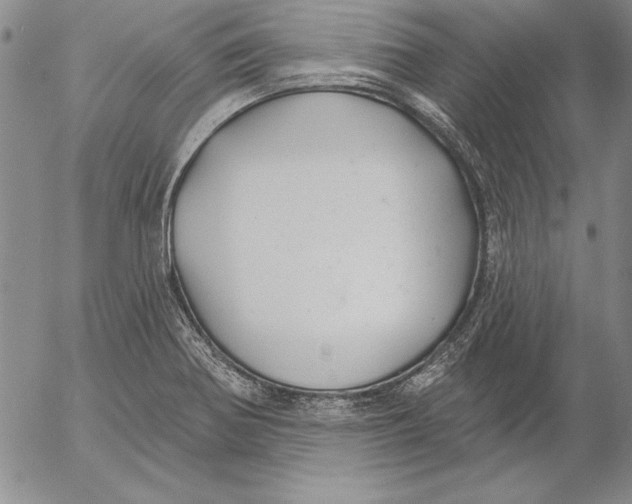 X0000053001370200507291631