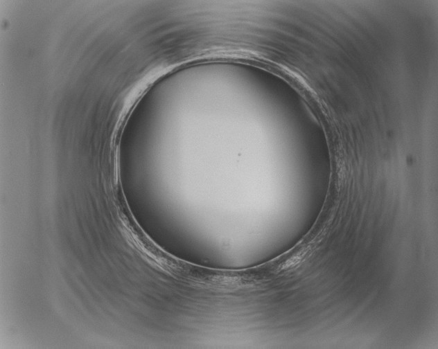 X0000053001371200507291631