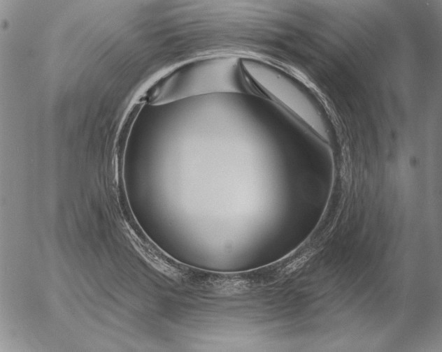 X0000053001372200507291631