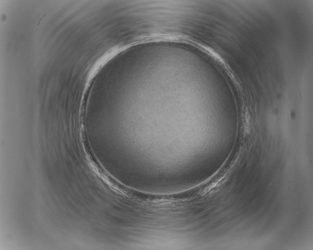 X0000053001373200507291631