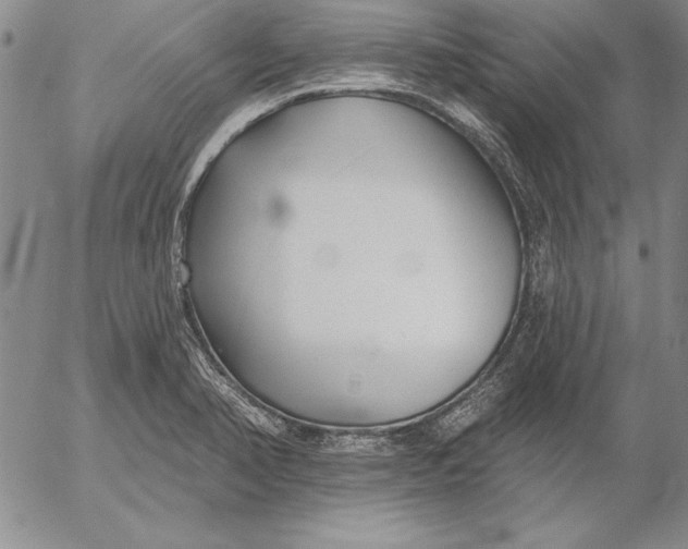 X0000053001374200507291631