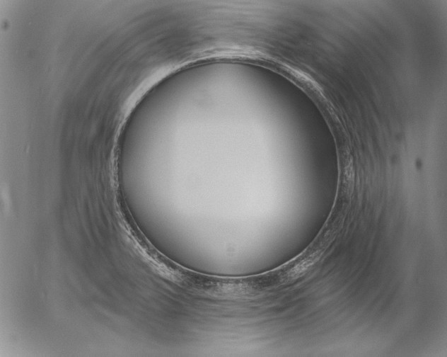 X0000053001375200507291631