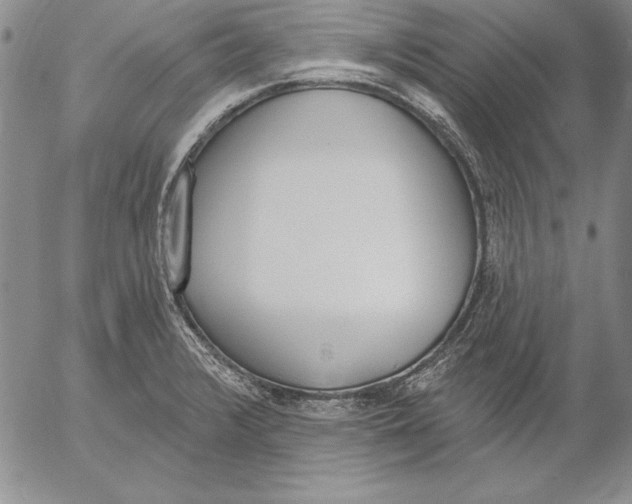 X0000053001376200507291631