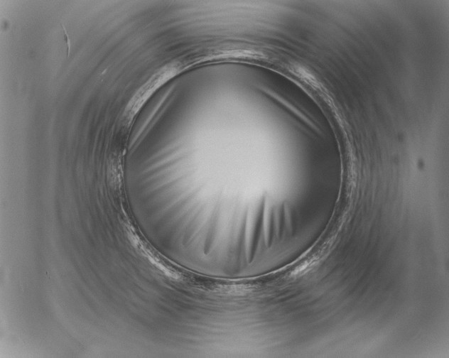 X0000053001377200507291631