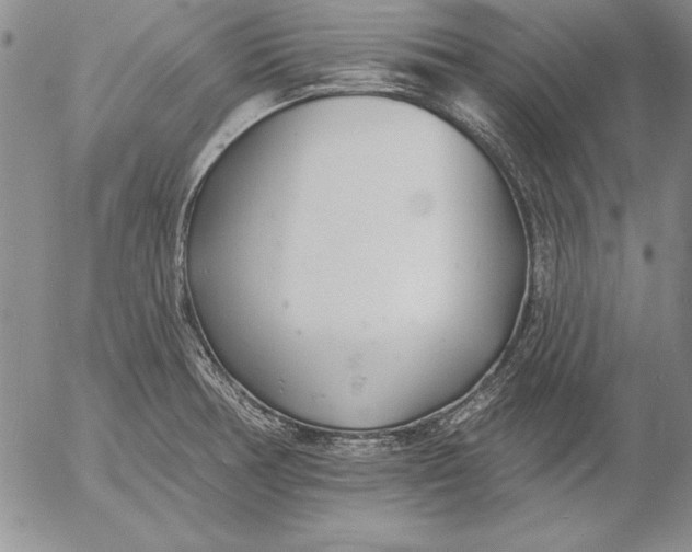 X0000053001378200507291631