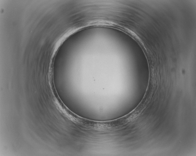 X0000053001379200507291631