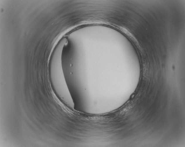 X0000053001380200507291631