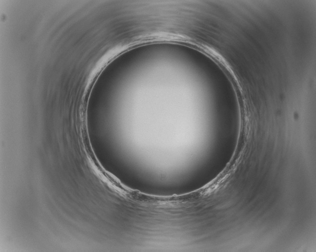 X0000053001381200507291631