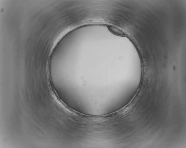 X0000053001382200507291631